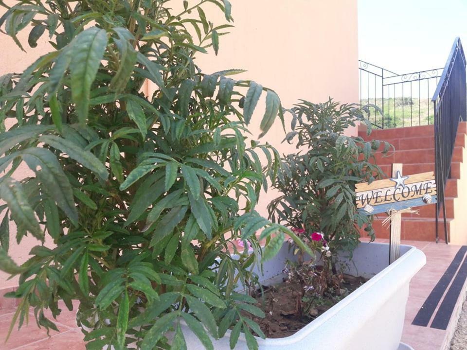 Rodanthy Studios IV Kateleios Exterior foto